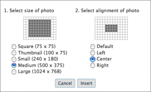 flickr_set_image_properties